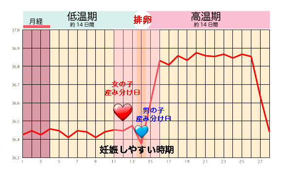 産み分けの必須アイテム基礎体温表を徹底解説